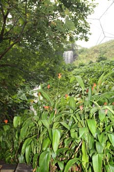 20080806 14